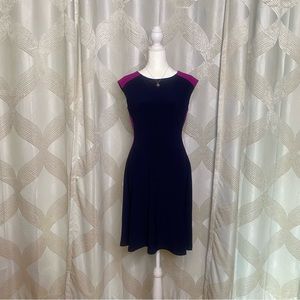 Lauren Ralph Lauren Navy with Magenta on side of dress size 6 Petite